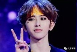 央视爆料蔡徐坤视频合集,揭秘偶像背后的故事